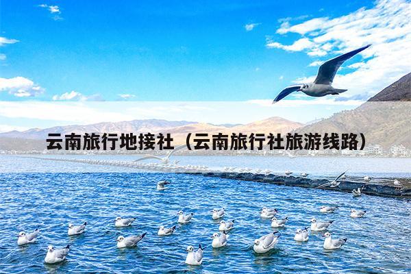 云南旅行地接社（云南旅行社旅游线路）