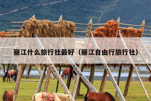 丽江什么旅行社最好（丽江自由行旅行社）