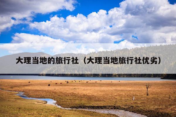 大理当地的旅行社（大理当地旅行社优劣）