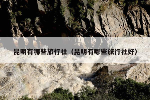 昆明有哪些旅行社（昆明有哪些旅行社好）