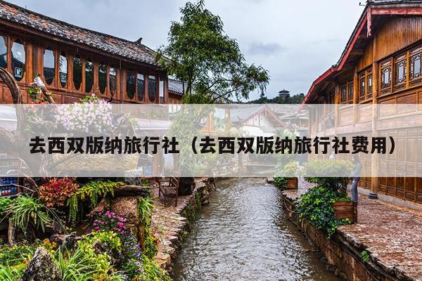 去西双版纳旅行社（去西双版纳旅行社费用）