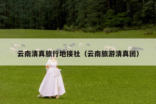 云南清真旅行地接社（云南旅游清真团）