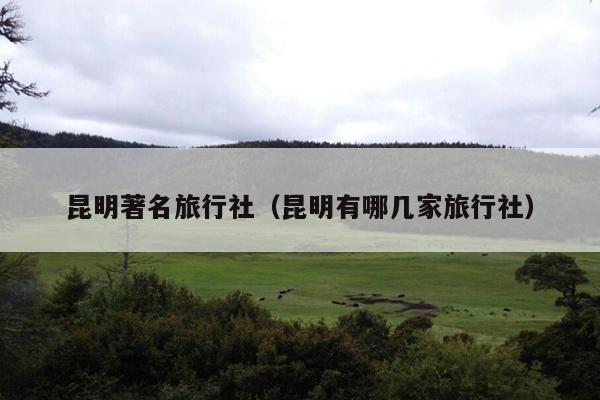 昆明著名旅行社（昆明有哪几家旅行社）