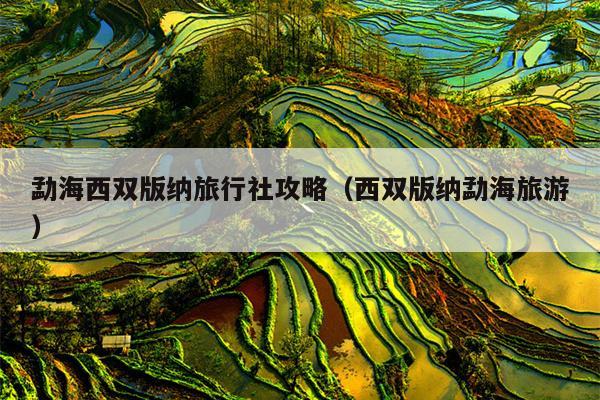 勐海西双版纳旅行社攻略（西双版纳勐海旅游）