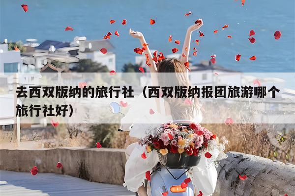 去西双版纳的旅行社（西双版纳报团旅游哪个旅行社好）