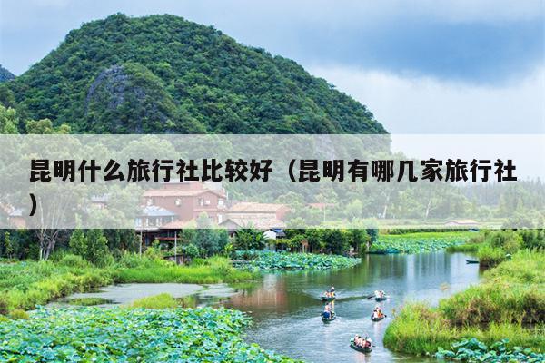 昆明什么旅行社比较好（昆明有哪几家旅行社）