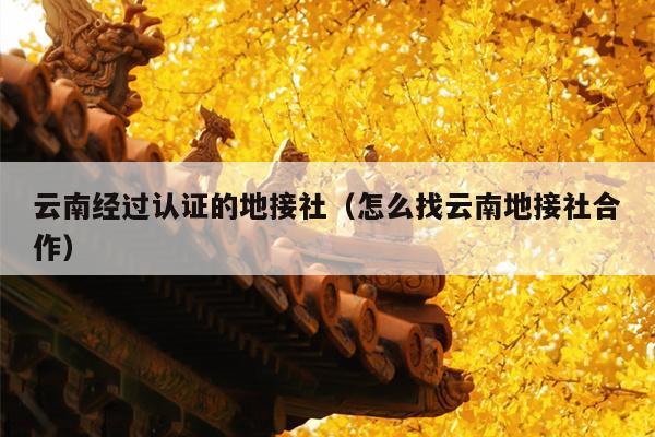 云南经过认证的地接社（怎么找云南地接社合作）
