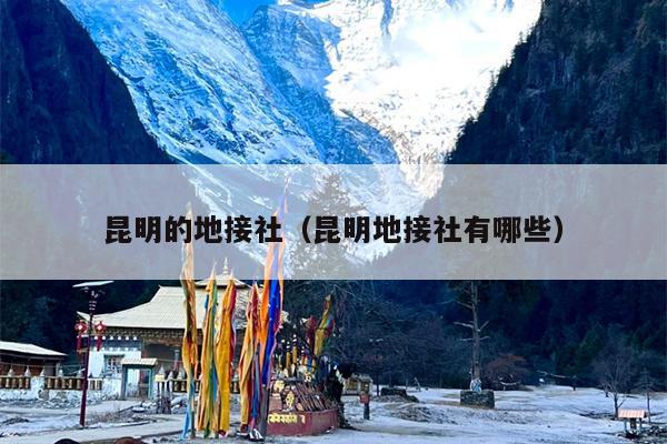 昆明的地接社（昆明地接社有哪些）