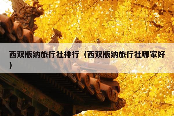 西双版纳旅行社排行（西双版纳旅行社哪家好）