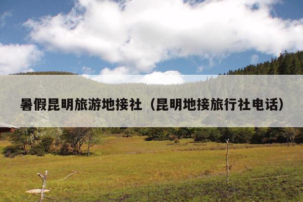 暑假昆明旅游地接社（昆明地接旅行社电话）