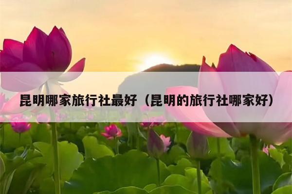 昆明哪家旅行社最好（昆明的旅行社哪家好）