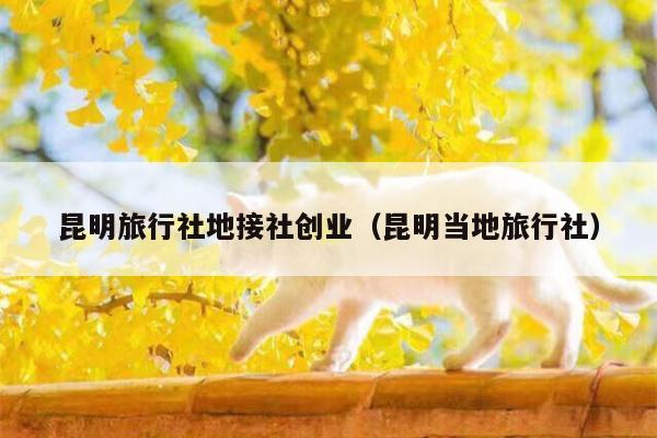昆明旅行社地接社创业（昆明当地旅行社）