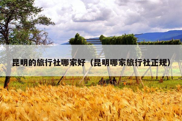 昆明的旅行社哪家好（昆明哪家旅行社正规）