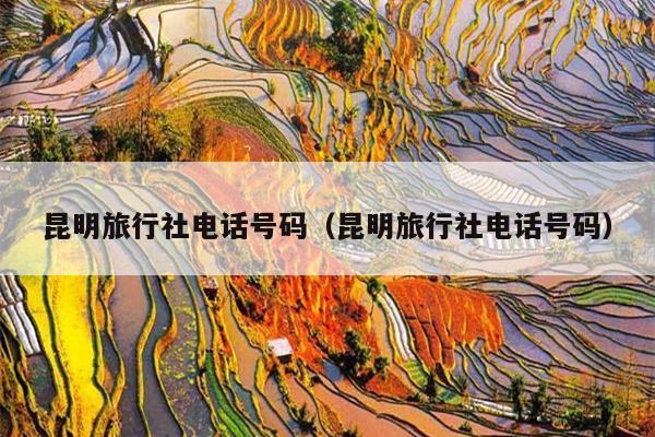 昆明旅行社电话号码（昆明旅行社电话号码）