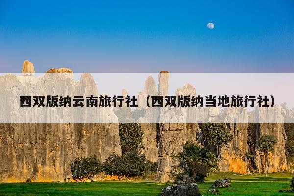 西双版纳云南旅行社（西双版纳当地旅行社）
