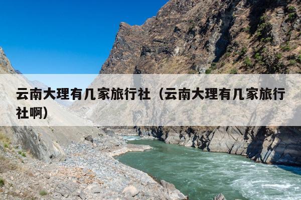云南大理有几家旅行社（云南大理有几家旅行社啊）