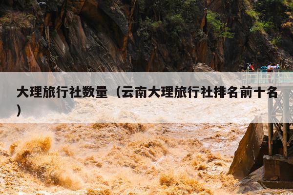 大理旅行社数量（云南大理旅行社排名前十名）