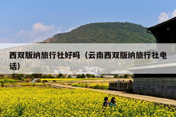 西双版纳旅行社好吗（云南西双版纳旅行社电话）