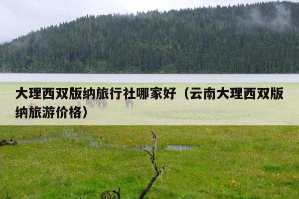 大理西双版纳旅行社哪家好（云南大理西双版纳旅游价格）