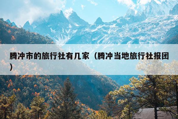 腾冲市的旅行社有几家（腾冲当地旅行社报团）