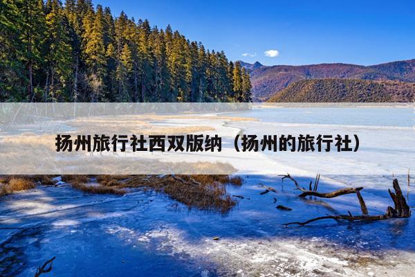 扬州旅行社西双版纳（扬州的旅行社）