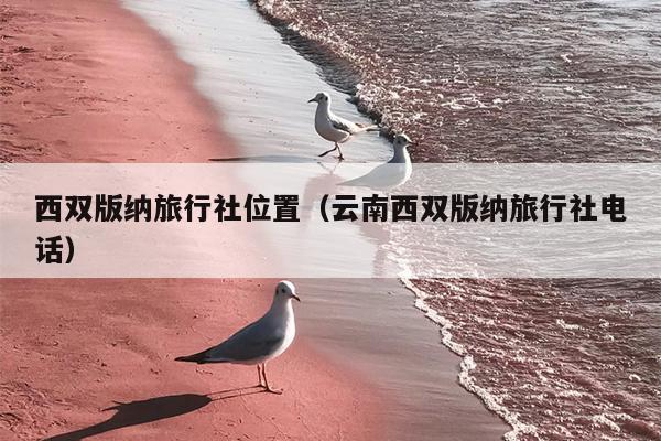 西双版纳旅行社位置（云南西双版纳旅行社电话）