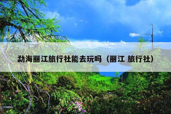 勐海丽江旅行社能去玩吗（丽江 旅行社）