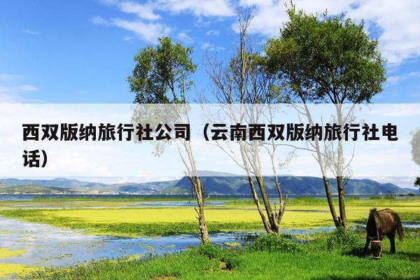 西双版纳旅行社公司（云南西双版纳旅行社电话）