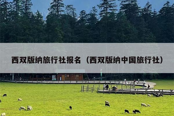 西双版纳旅行社报名（西双版纳中国旅行社）