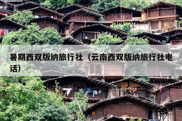 暑期西双版纳旅行社（云南西双版纳旅行社电话）
