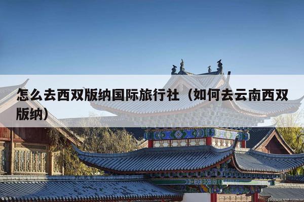 怎么去西双版纳国际旅行社（如何去云南西双版纳）