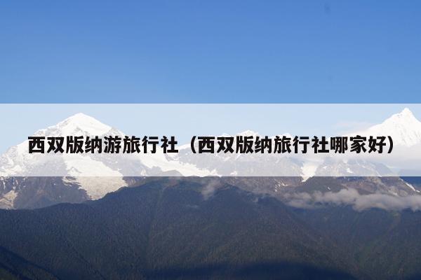 西双版纳游旅行社（西双版纳旅行社哪家好）