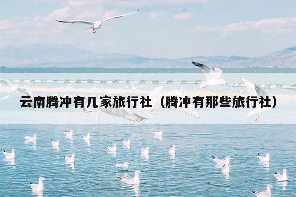 云南腾冲有几家旅行社（腾冲有那些旅行社）