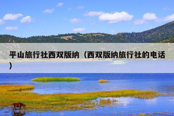 平山旅行社西双版纳（西双版纳旅行社的电话）