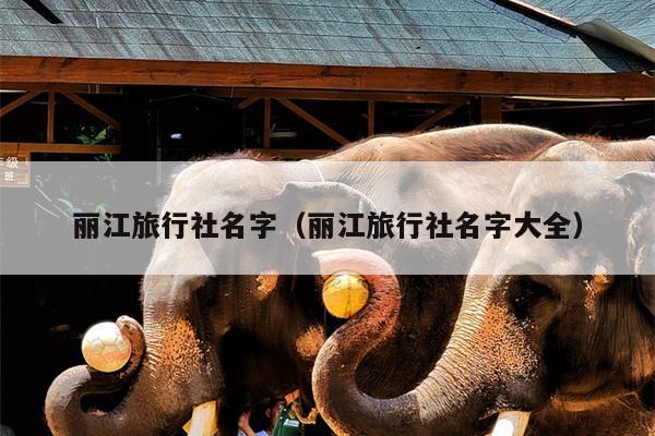 丽江旅行社名字（丽江旅行社名字大全）
