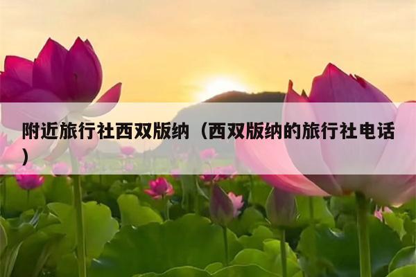 附近旅行社西双版纳（西双版纳的旅行社电话）