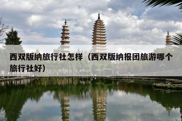 西双版纳旅行社怎样（西双版纳报团旅游哪个旅行社好）