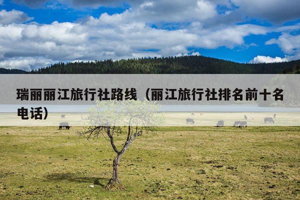 瑞丽丽江旅行社路线（丽江旅行社排名前十名电话）