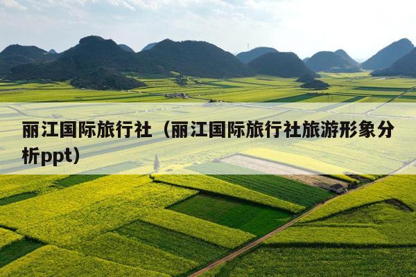丽江国际旅行社（丽江国际旅行社旅游形象分析ppt）