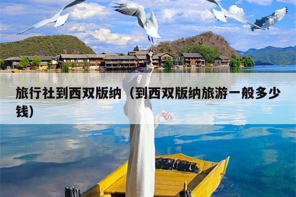 旅行社到西双版纳（到西双版纳旅游一般多少钱）