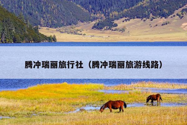 腾冲瑞丽旅行社（腾冲瑞丽旅游线路）