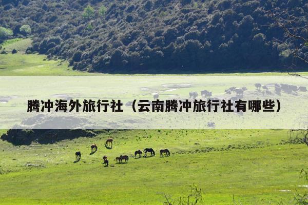 腾冲海外旅行社（云南腾冲旅行社有哪些）