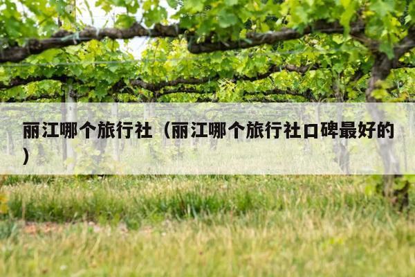 丽江哪个旅行社（丽江哪个旅行社口碑最好的）