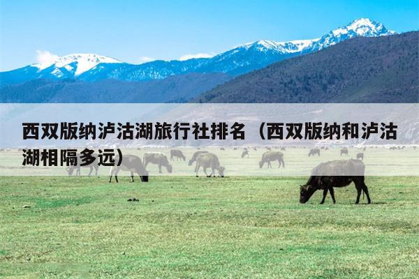 西双版纳泸沽湖旅行社排名（西双版纳和泸沽湖相隔多远）