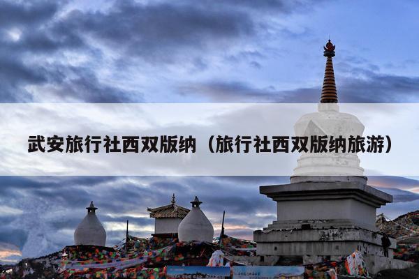 武安旅行社西双版纳（旅行社西双版纳旅游）