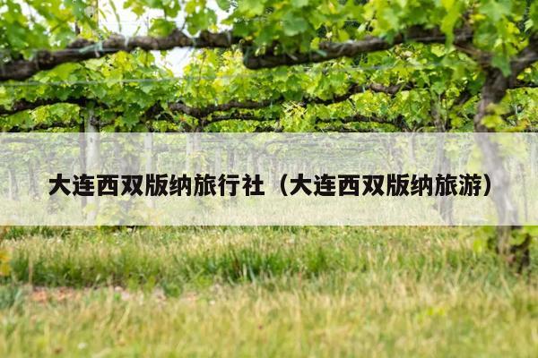 大连西双版纳旅行社（大连西双版纳旅游）