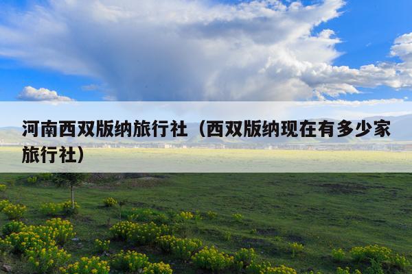 河南西双版纳旅行社（西双版纳现在有多少家旅行社）