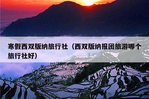 寒假西双版纳旅行社（西双版纳报团旅游哪个旅行社好）