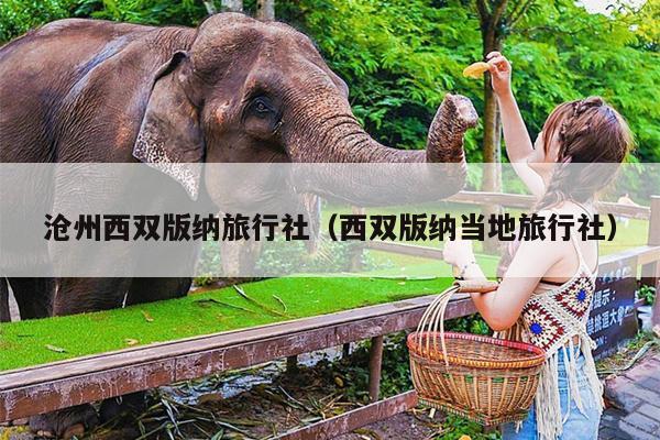 沧州西双版纳旅行社（西双版纳当地旅行社）