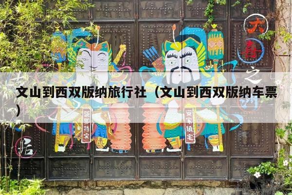 文山到西双版纳旅行社（文山到西双版纳车票）